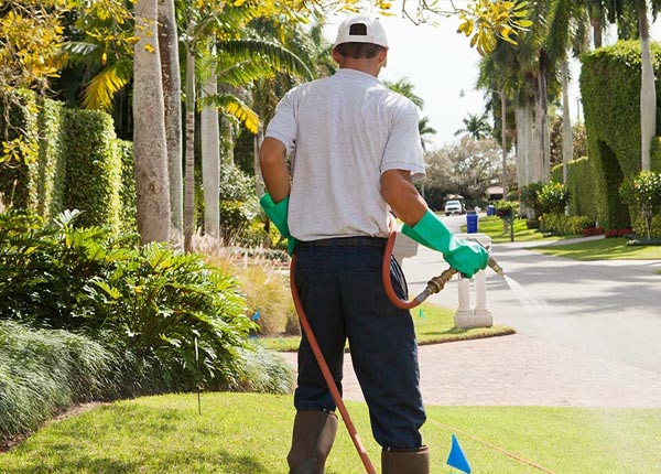 About Sugar Grove IL Pest Control Pros